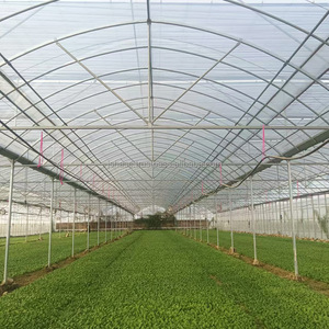 Invernadero Agrícola Personalizado de Múltiples Tramos con Película Plástica para Cultivo de Vegetales y Flores - Product Image 3