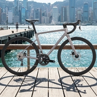 700C Aluminium-Citybike Rennrad 12-Gang Hydraulische Scheibenbremsen Aluminiumgabel Standardpedale für Offroad- & Gravel-Trail-Fahrten