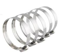 Collier de serrage sanitaire hygiénique en acier inoxydable SS304 de 1 pouce