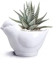 Groothandel Leuke Cartoon Dier Vormige Keramische Sappige Cactus Vaas Bloempot Wit Geglazuurd Bloem Decoratieve Planten Bonsai Pot