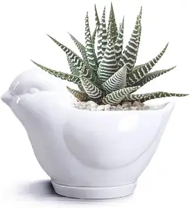 Оптовая продажа, симпатичная керамическая ваза в форме животного из мультфильма, суккулент, кактус, цветочный горшок, белый глазурованный цветок, декоративные растения, горшок бонсай