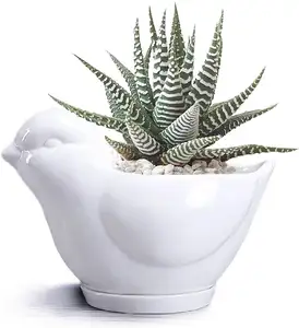 Pot de fleur vernis blanc en forme d'animaux de dessin animé, Cactus, Vase en céramique, mignon, bonsaï, pour plantes décoratives, vente en gros, 1 pièce