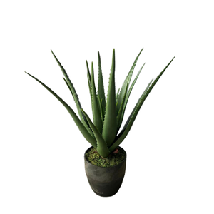 Suculentas artificiales Estilo nórdico ins interior sala <span class=keywords><strong>de</strong></span> estar tienda ventana decoración simulación aloe <span class=keywords><strong>vera</strong></span> en maceta - Product Image 3
