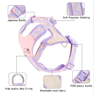 カスタマイズ可能なペット用ハーネスベスト、新デザイン、調節可能、丈夫なナイロン製、通気性のあるメッシュ、洗える、ファッショナブルなスタイル - Product Image 2