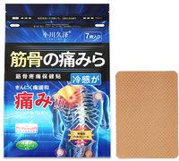 Pansement Corporel Poré de Médecine Traditionnelle Chinoise, Adhésif Médical Perforé Certifié IOS de Haute Qualité pour le Rhumatisme