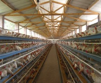 Structure préfabriquée en acier à faible coût volaille vache/bovin/mouton/poulet bâtiment de ferme/maison/grange/byre