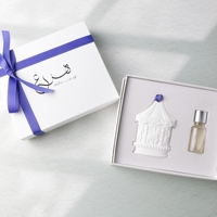 Diffuseur d'huiles essentielles en plâtre parfumé, artisanal, en porcelaine et céramique, en forme de fleur, pour voiture et armoire