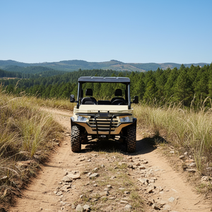 Véhicule utilitaire tout-terrain (UTV) 1000cc à essence, idéal pour l'agriculture, avec treuil – Offre spéciale - Product Image 2
