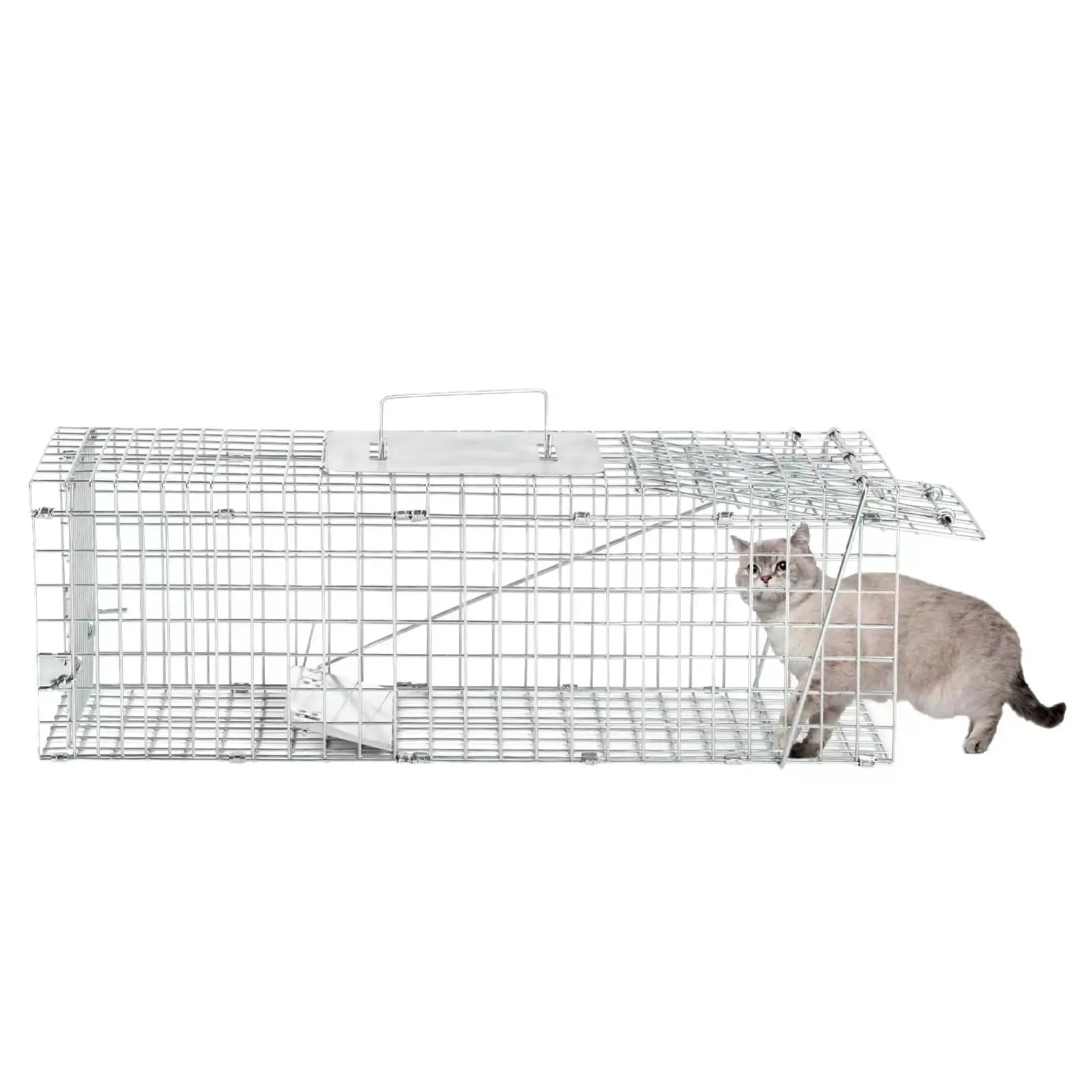 Hochwertiger Tierfällichkeitskäfig lebendige wilde Tiere Kojote Eichhörnchen Kaninchen Waschbären Katzenkäfig Fallen wilde Hunde Fallkäfige zu verkaufen