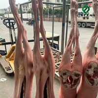 Agneau congelé de qualité supérieure, agneau halal de haute qualité pour l'exportation