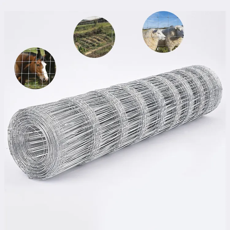 Galvanized cattle fencing/ Fixed knot high tensile game fence/ Barbed wire on top field fencing