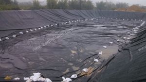 1.5mm <span class=keywords><strong>HDPE</strong></span> phong cách thiết kế công nghiệp <span class=keywords><strong>geomembrane</strong></span> cho dự án bãi rác vệ sinh ở Philippines - Product Image 5