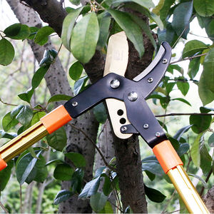Top Sales Long Handled <strong>Tree</strong> <strong>Loppers</strong> <strong>Tree</strong> Cutting <strong>Telescopic</strong> Aluminum Tube <strong>Lopper</strong> - Product Image 6