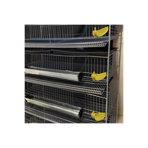 Modern kanatlı yönetimi için dayanıklı HType ticari bıldırcın kafesi yumurta üretimi için bıldırcın kafesi - Product Image 3