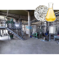 Presse à huile automatique multi-graines pour l'usine de traitement de l'huile d'arachide, de sésame, de colza, de canola et de graines de coton