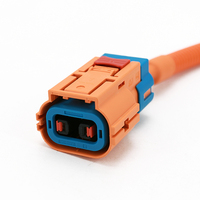 Harness Kabel HV EV 2-Core 1000V DC yang Dapat Disesuaikan dengan Perakitan Kabel HVIL Berperingkat IP67 untuk Kendaraan Energi Baru
