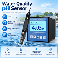 Analyseur de pH/ORP pour eaux usées industrielles CODA avec écran LCD, précision 0,01pH, RS485, plastique, personnalisable OEM, garantie 0,5 an