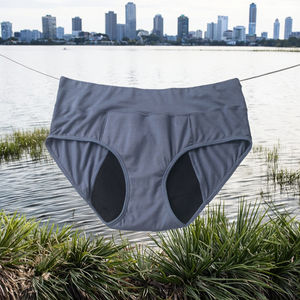 กางเกงในประจำเดือนแบบกันรั่วสำหรับผู้หญิงไซส์ใหญ่ เอวกลาง  มีโลโก้ ขายส่ง สำหรับใส่ช่วงมีประจำเดือน - Product Image 2