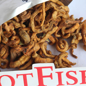 Yüksek kaliteli lugworm kuru worm worm balıkçılık bait deniz balıkçılık cazibesi doğal koku solucan - Product Image 3