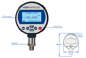 Calibrador de Manómetro Digital HSIN685, Calibración Inteligente de Manómetro Diferencial Absoluto de hasta 250 MPa, Presión Digital HSIN685 - Product Image 4