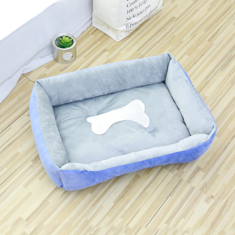 Bony socket - grayish blue