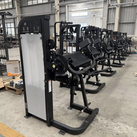 Machine d'entraînement musculaire de haute qualité pour salle de sport commerciale, machine d'entraînement de force linéaire, machine double pour biceps et triceps