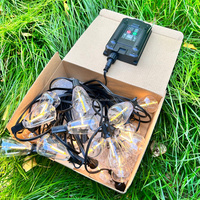 Guirlandes lumineuses solaires étanches pour le camping en plein air avec ampoules LED ST38 incassables