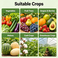 Engrais liquide agricole à base d'acides aminés, de calcium, de magnésium chélaté, de micronutriments B, de zinc et de glucanes, biostimulant pour les fruits