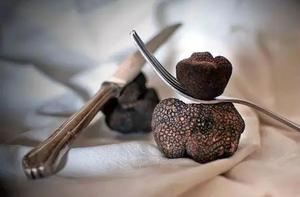 <span class=keywords><strong>Chinese</strong></span> Bulk Zwarte Truffel Paddestoel Truffel <span class=keywords><strong>Extract</strong></span> Poeder - Product Image 2