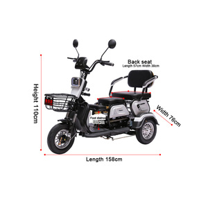 Tricycle électrique pour deux passagers, scooter à 3 roues avec siège arrière, carrosserie ouverte, tricycle électrique adulte pour deux personnes - Product Image 2