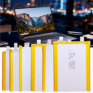 Lithium-ion 9V 1500 Lithium mAh 5000mAh gói 12Volts 2600mAh 4000mAh 3.7 V 2000mAh Li Ion pin cho HP Pavilion - Product Image 1