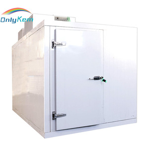 Mini Cámara Frigorífica, Cuarto de Congelación, Cámara Frigorífica Móvil con Unidad de Compresor, Chambre Froide - Product Image 3