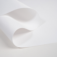 Toile en polyester mate et imperméable 260GSM compatible avec Epson, Canon, HP pour impression jet d'encre, toile d'art décorative