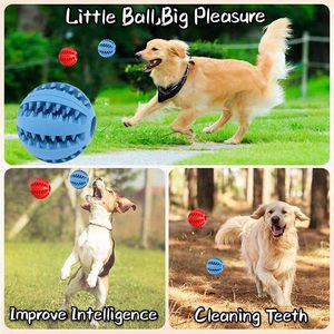 Juguete de Plástico para Mascotas, Diseño Moderno y Encantador, Pelota para Perros, Venta Caliente - Product Image 6