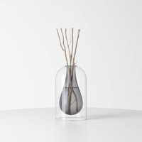 Diffuseur d'arômes en verre de forme personnalisée créative avec bâtonnets en bois