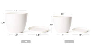 YICAI 5,5 "de plástico blanco plantadores interior conjunto de 5 macetas de flores decorativas modernas jardinería olla con drenaje y platillo - Product Image 3