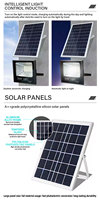 Lampe solaire au prix d'usine, projecteur LED 100 200 300 watts, IP67 étanche, projecteur LED COB extérieur
