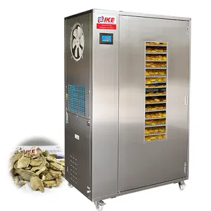 100Kg Professionele Fruit Groente Dehydrator Gember Dehydrator Machine