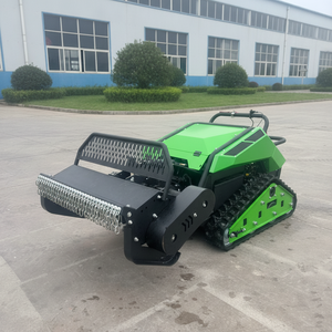 Livraison gratuite, tondeuse à gazon télécommandée certifiée CE, moteur diesel 10,2 kW, tondeuse pour pentes, pour l'élimination des mauvaises herbes et des petits arbustes - Product Image 1