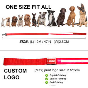 Laisse pour chien LED rechargeable USB-C, sécurité nocturne, laisse lumineuse pour animaux de compagnie, haute visibilité, 3 modes clignotants, laisse en nylon durable pour chiens - Product Image 3