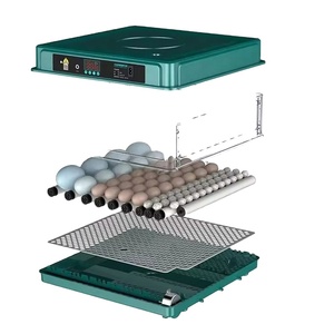 Incubateurs automatiques à température constante pour volailles, capacité de 64 œufs, taux d'éclosion élevé de 98%, machine à faire éclore des œufs de poulet - Product Image 4