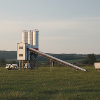 Centrale de Béton Stationnaire Personnalisée en Usine pour Grands Projets