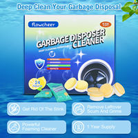 Tablette de nettoyage écologique et désodorisante pour broyeur de déchets, parfum citron/orange personnalisé