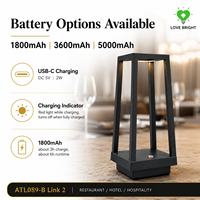 Lanterne de table LED sans fil rechargeable, flexible, simple, à courant continu réglable, à économie d'énergie, pour restaurant, hôtel, terrasse, patio