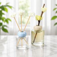 Diffuseur de parfum liquide écologique pour la maison et la voiture, motif personnalisé, 100 ml, avec emballage personnalisé