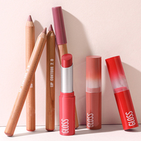 Ensemble de lèvres personnalisées: Crayon à lèvres mat avec rouge à lèvres repulpant brillant, kit de maquillage hydratant de marque privée