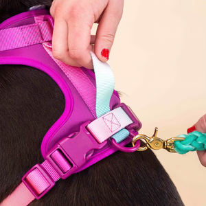 小型中型大型犬用,デザイナーペット犬用ハーネス通気性ポリエステル耐久性のあるファッション犬用ベスト - Product Image 2