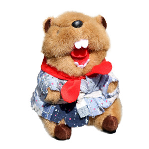 Portachiavi con Ciondolo a Forma di Scoiattolo, Giocattolo in Peluche, Regalo per Ragazze, Decorazione per Zaino, Vendita all'Ingrosso - Product Image 5