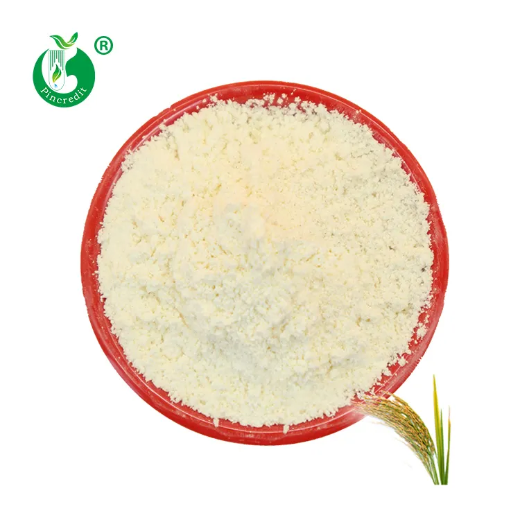 Polvere di acido ferulico puro naturale di alta qualità con estratto di crusca di riso al 98%