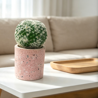 Pot de plante en béton écologique style ferme Terrazzo rose, mini jardinière pour cactus et succulentes, petit récipient d'intérieur pour bureau
